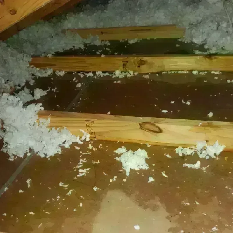 Attic Water Damage in Valley County, MT