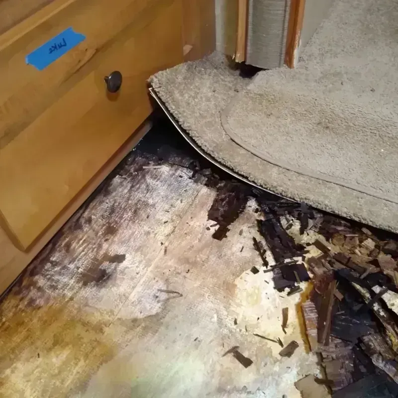 Wood Floor Water Damage in Valley County, MT